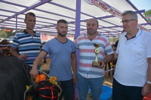 308122662229275246891